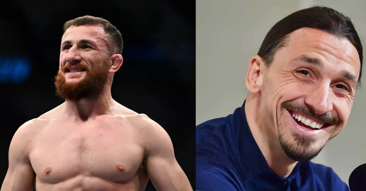 Merab Dvalishvili, Zlatan Ibrahimović
