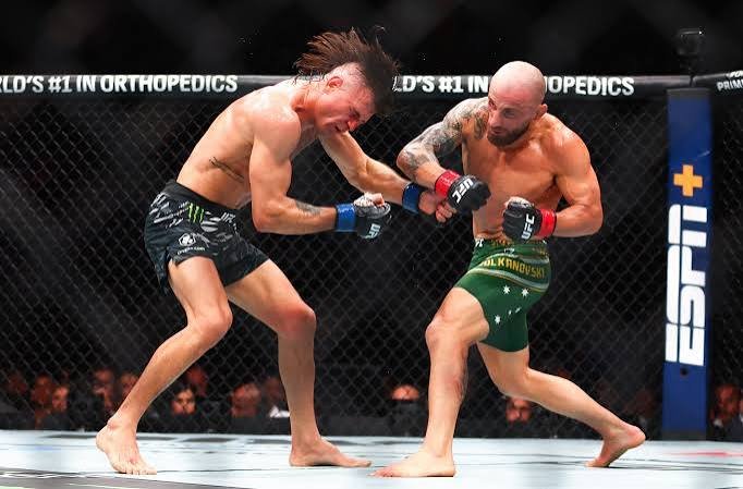 Alexander Volkanovski 